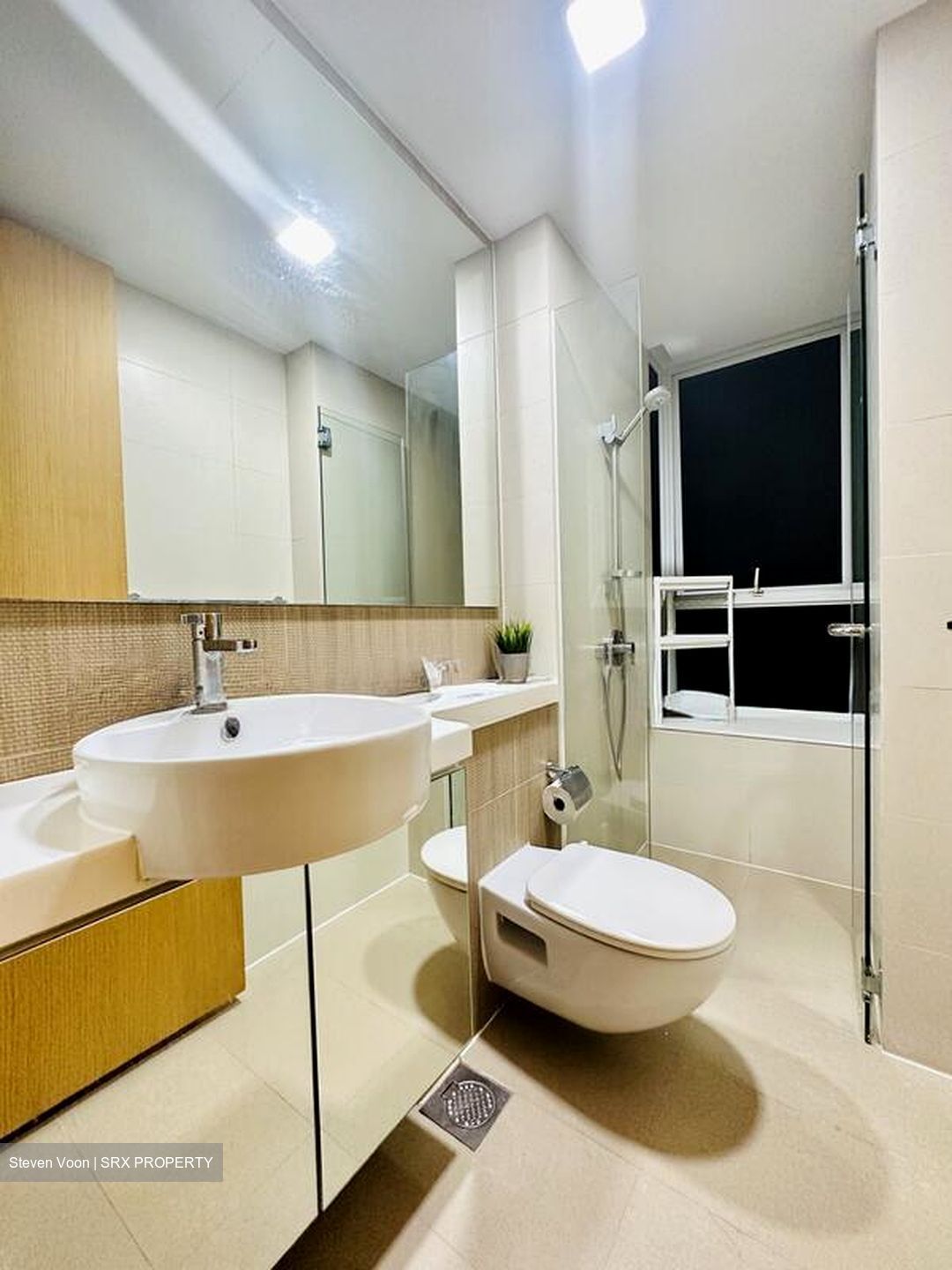 The Regency At Tiong Bahru (D3), Condominium #510004071